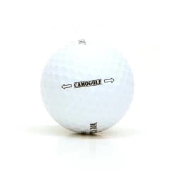 BUCKSHOT BRAND GOLF BALLS - 12 Golf Balls In Package -Golf World Shop Buckshot Camo Golf Golf Balls 4
