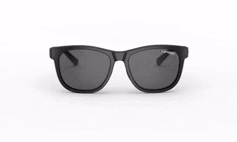 Tifosi Optics Swank Sunglasses 1 Tifosi Optics Swank Sunglasses